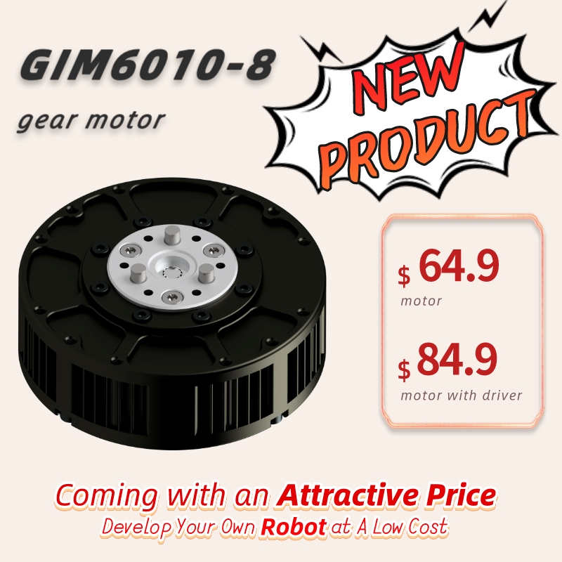 Gyroscope Rc Module - Steadywin 5N.M GIM6010-8 Planetary Reducer Motor