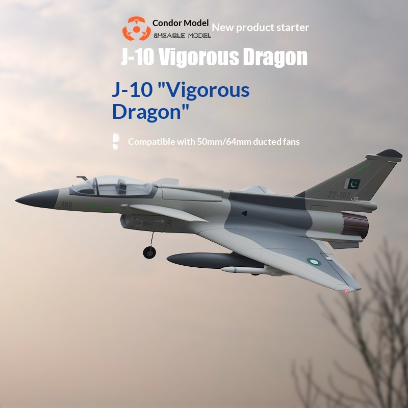 SH-EAGLE MODEL J-10 Vigorous D - огляд і ціна Yunshen Rc Hobby