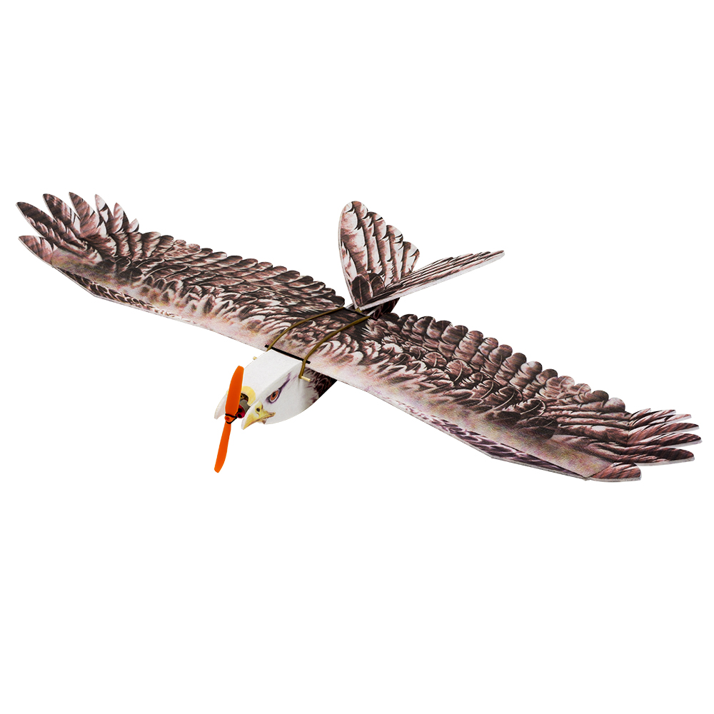 DW Hobby Eagle II EPP Airplane - огляд і ціна Rc Hobby Plane