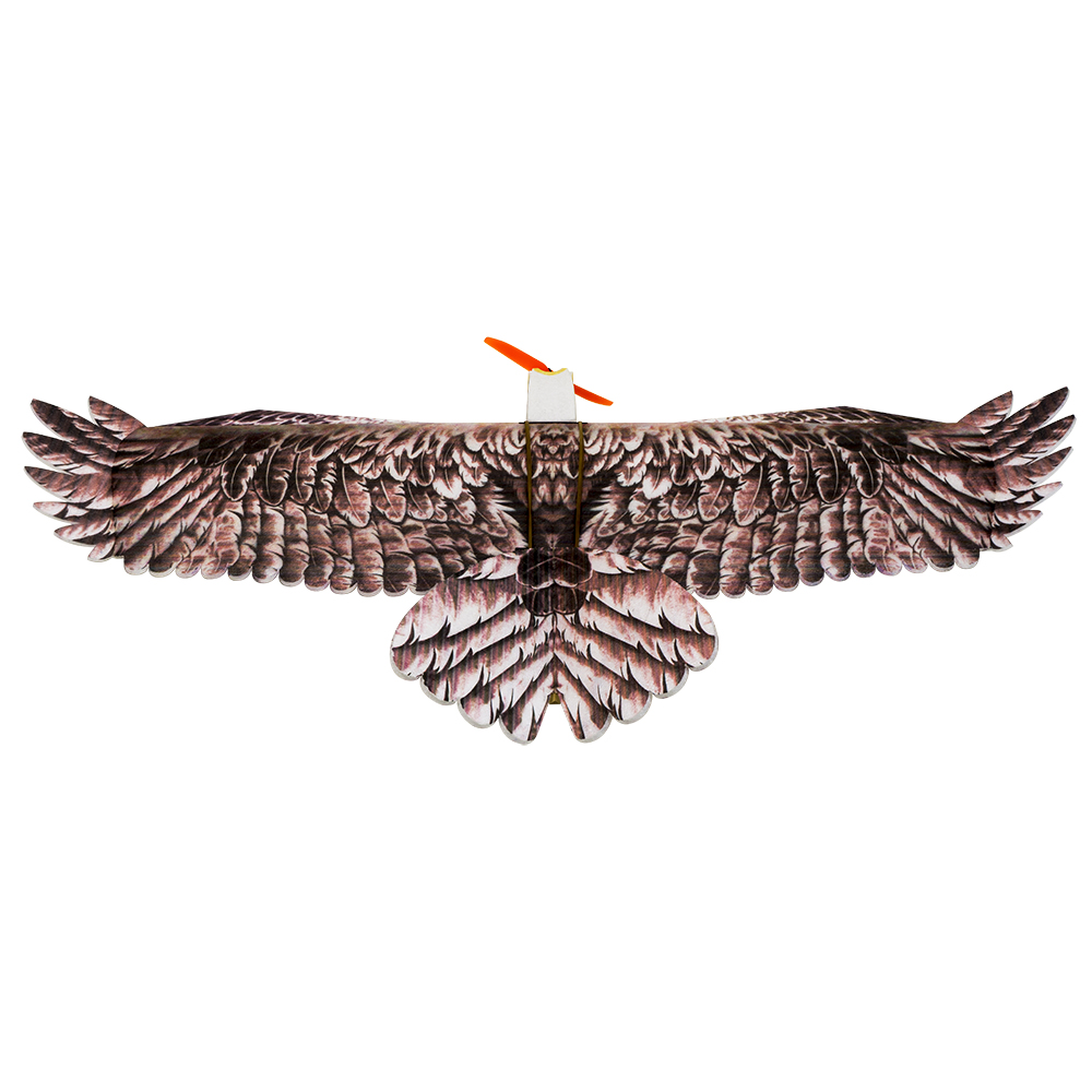 DW Hobby Eagle II EPP Airplane - огляд і ціна Rc Hobby Plane
