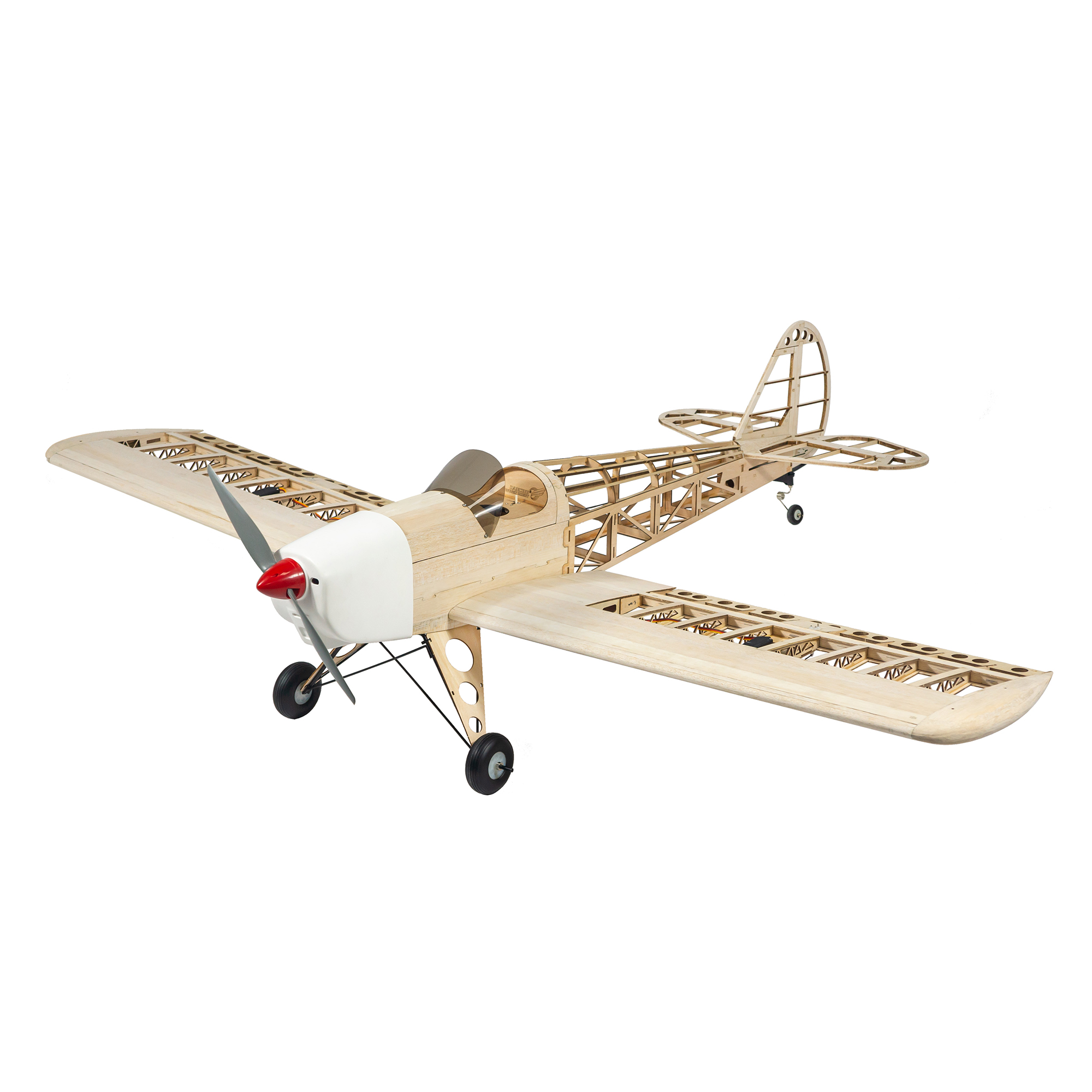 Dancing Wings Hobby 1.6M (63in - огляд і ціна Yunshen Rc Hobby