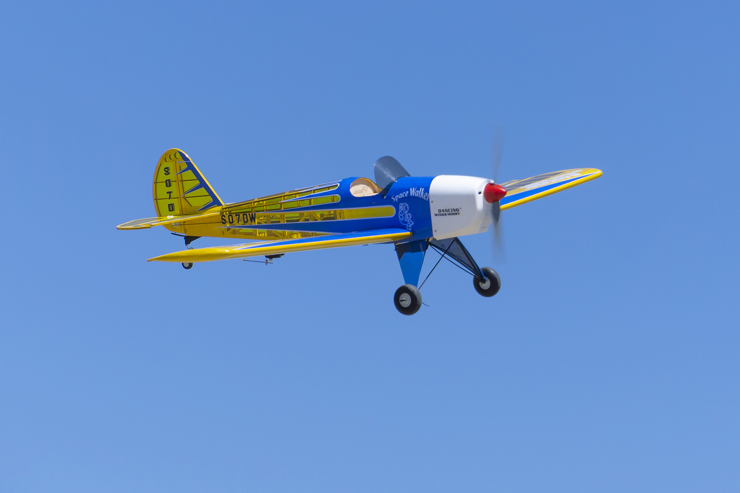 Dancing Wings Hobby 1.6M (63in - огляд і ціна Yunshen Rc Hobby